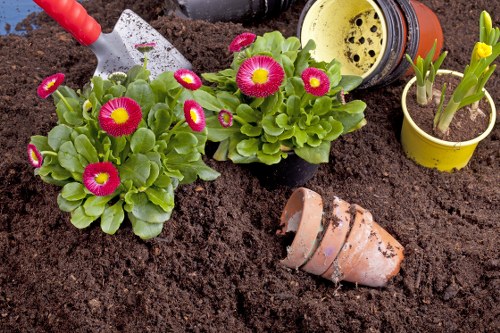 Illustration of a landscaped garden with cookie policy theme for Landscapers Shoreditch