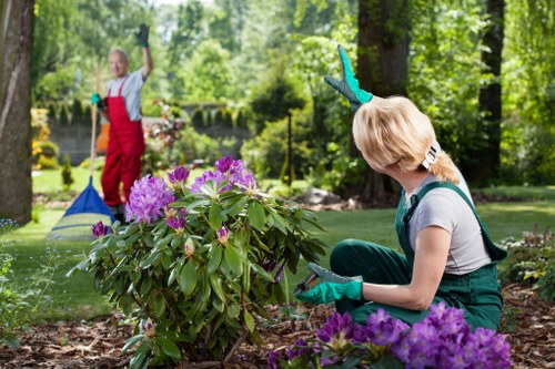 In a well-maintained garden with lush green trees and plants, a woman wearing green gardening gloves and a grey top is kneeling on the soil, tending to a large flowering shrub with vibrant purple flowers. The ground around her consists of dark, rich soil, and she is focused on her gardening tasks. In the background, another person dressed in a red apron and blue gloves is using a rake near a lawn area, with trees and shrubbery providing natural shade. The garden features a combination of neatly trimmed grass, flower beds, and mature trees, creating a serene outdoor environment suitable for landscaping and gardening activities. The scene depicts a typical day of outdoor maintenance and plant care in a private or community garden, highlighting the natural textures of soil, foliage, and flowers, with natural daylight illuminating the scene.