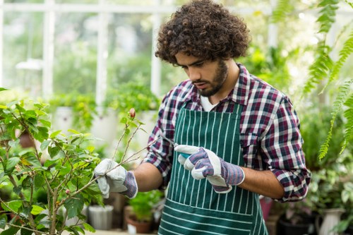A young man with curly brown hair and a beard is working in a bright, well-maintained greenhouse or indoor garden area. He is wearing a green striped apron over a checkered shirt and light grey gardening gloves, carefully inspecting or pruning a small branch with pink buds on a leafy shrub or bush. The background features lush green foliage, including a variety of potted plants, ferns, and climbing vines, creating a dense, vibrant environment. Sunlight filters through the glass panes, illuminating the greenery and highlighting the healthy, natural tones of the leaves and stems. The setting appears to be a professional or hobbyist gardening space, with organized plant containers and a clean, orderly atmosphere, consistent with gardening services provided by Landscapers Shoreditch or similar local gardening specialists in the Shoreditch area. The scene emphasizes attentive plant care and horticultural expertise in a bright, natural environment.