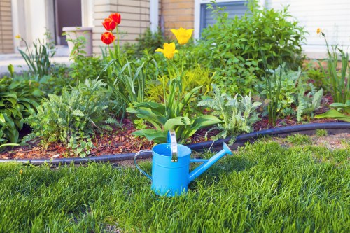 A vibrant garden scene featuring a well-maintained grassy lawn in the foreground with lush green grass and a slightly uneven texture. Behind the lawn, there is a curved flower bed bordered by black edging, filled with a variety of flowering plants and shrubs. The flower bed contains several blooming tulips in red and yellow, along with other leafy green plants and ornamental foliage. In the centre of the scene, a blue watering can with a long spout and handle is placed on the grass, indicating active garden care. The background includes a light-colored garden wall and the lower part of a house with blue window frames, suggesting a residential outdoor space within Shoreditch. The sky is partly cloudy, providing natural daylight that highlights the rich green tones of the plants and the bright colours of the flowers. The overall setting conveys a neatly cultivated, vibrant, and inviting garden area typical of landscaped residential gardens serviced by professional gardening providers like Landscapers Shoreditch, with a focus on flower bed design and lawn maintenance.