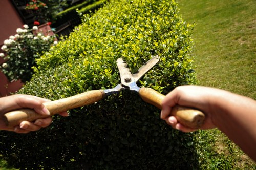 This image shows two hands holding garden pruning shears, trimming a dense, neatly maintained hedge with small, bright green leaves in a well-kept outdoor garden. The hedge borders a lush, green lawn, and the background includes a variety of flowering plants and additional shrubbery, indicating a landscaped yard typical of residential gardens in Shoreditch. The scene is brightly lit, suggesting a sunny day with natural daylight highlighting the vibrant colours and textures of the foliage and garden features. The overall environment suggests a well-tended outdoor space dedicated to gardening and landscaping, with attention to plant health and aesthetics, aligning with services offered by landscapers in Shoreditch.