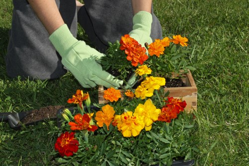 A person wearing light green gardening gloves is planting colorful flowering plants, featuring vibrant orange, yellow, and red blossoms, into a wooden planter box situated on a well-maintained garden lawn. Surrounding the planter are lush green grass and small patches of soil, with additional garden tools visible nearby. The garden area appears to be part of a landscaped outdoor space typical of residential gardens in Shoreditch, London, with natural daylight illuminating the scene, emphasizing healthy plant foliage and freshly cultivated soil. This outdoor setting reflects a tidy, organized garden environment suitable for landscaping and garden maintenance services offered by Landscapers Shoreditch, who specialise in garden design, planting, and outdoor upkeep in the local area.