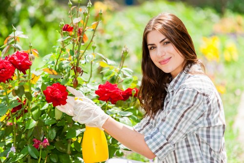Eco-friendly sustainable landscaping practices in Shoreditch
