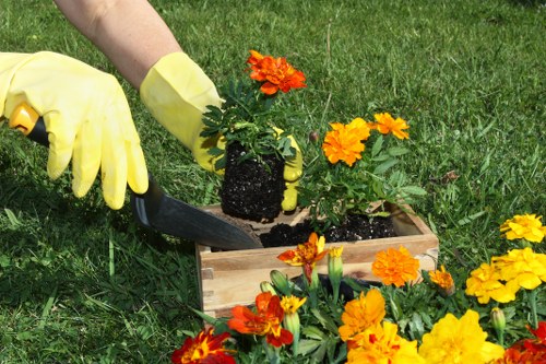 A gardener wearing yellow gloves is planting a flowering plant with bright orange and yellow blooms into a rectangular wooden planter box filled with dark soil, placed on a well-maintained green lawn. Surrounding the planter are additional flowering plants, creating a colourful display in an outdoor garden space. In the background, there is lush grass and hints of garden tools, indicating active gardening work. The scene appears to be set on a cloudy day with natural light illuminating the vibrant colours of the flowers and greenery. This image showcases gardening activities typical of a landscaped garden in Shoreditch, highlighting the importance of plant care and outdoor maintenance that a professional gardening service like Landscapers Shoreditch provides to maintain attractive, healthy outdoor environments in London.