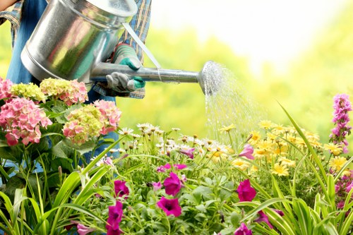 A gardener is watering a vibrant flower bed in an outdoor garden, with a focus on pink and purple flowers, yellow blooms, and lush green foliage. The gardener's hand is visible holding a metal watering can, pouring water over the plants. The garden features a variety of planting styles, with some areas densely populated with flowering plants and others with more open, grassy sections. In the background, there are taller plants and possibly garden borders, with sunlight illuminating the scene, indicating a bright, clear day. The environment appears well-maintained, reflecting professional gardening care common in residential or community gardens in Shoreditch. This scene showcases typical features such as colourful flower beds, healthy plant growth, and attentive watering, aligning with gardening and outdoor maintenance services provided by Landscapers Shoreditch.