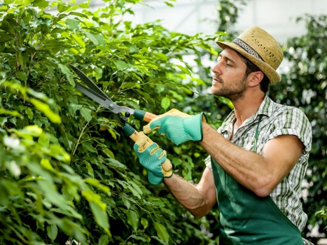 Sustainable garden practices with composting and organic plants in Shoreditch