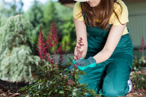 A person wearing a yellow short-sleeved top, teal gardening overalls, and gardening gloves is kneeling in a well-maintained garden. They are tending to a flowering plant with tall, pinkish-purple flower spikes and dark green foliage. The garden features a neatly trimmed lawn in the foreground, bordered by a variety of shrubs, plants, and flower beds that include flowering perennial plants and small bushes. In the background, there are mature trees and a green wooden structure, suggesting a local outdoor space in Shoreditch with natural, lush greenery. The scene is set during daylight with natural light highlighting the vibrant colours of the plants and the healthy soil, reflective of sustainable gardening practices supported by Landscapers Shoreditch, emphasizing careful planting and cultivation within an environmentally conscious outdoor environment.