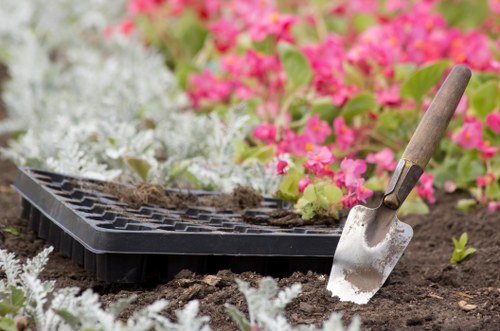 Residential garden clearance in a Shoreditch home