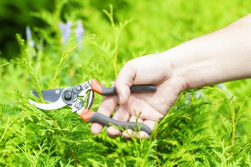 Eco-friendly hedge trimming practices in Shoreditch