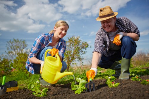 A man and a woman working together in a well-maintained garden located in Shoreditch, London, with clear blue skies and a few scattered clouds overhead. They are engaged in planting young green seedlings into dark, enriched soil within a neatly organized vegetable patch. The woman, wearing a blue checkered shirt and yellow gardening gloves, is holding a yellow watering can, pouring water onto the plants. The man, dressed in a plaid shirt, straw sun hat, and orange gloves, is using a small garden hand tool to tend to the soil around the plants. In the background, there is a hedge row and a grassy area with some small trees, indicating a landscaped outdoor space. The garden features a paved pathway partially visible on the left, and the vibrant green of the seedlings contrasts with the rich brown soil and the bright natural tones of the organic gardening environment. This scene exemplifies local outdoor maintenance and planting services provided by Landscapers Shoreditch, contributing to the lush and cultivated outdoor area in an urban garden setting.