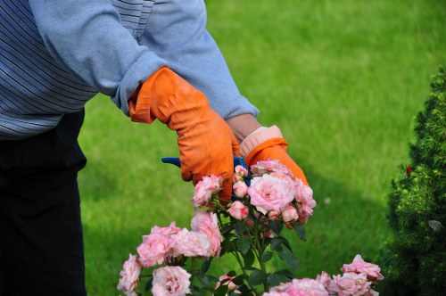 A close-up view of a person wearing grey sleeves and bright orange gardening gloves, carefully pruning pink flowering roses in a well-maintained garden. The background features a lush green lawn and neatly trimmed shrubs, with soil and flower beds visible in the foreground. The garden appears to be part of a landscaped outdoor space, possibly in Shoreditch, with a balanced mix of flowering plants, grass, and ornamental bushes, all under natural daylight conditions. The scene reflects careful gardening and maintenance typical of professional landscaping and garden design services, highlighting the tools and techniques used to enhance garden aesthetics. Landscapers Shoreditch may provide similar services for creating and maintaining visually appealing outdoor environments in local areas such as Shoreditch, London.