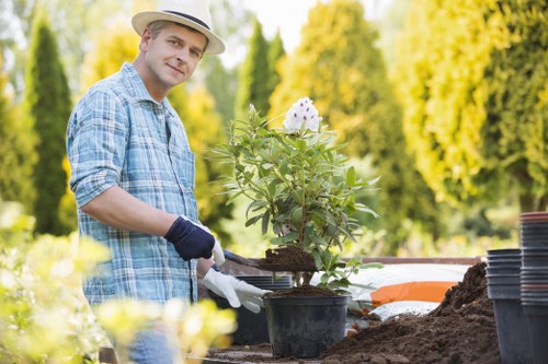 Advanced equipment used for tree services