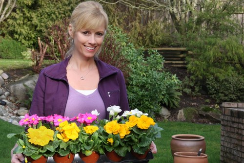 A woman with blonde hair and a cheerful smile standing in a well-maintained garden, holding a tray with multiple small terracotta pots filled with colorful blooming primroses in shades of pink, yellow, white, and purple. She is wearing a purple jacket over a light purple top and appears to be preparing for gardening or planting activities. Behind her, there is lush greenery including shrubs, small trees, and a brick pathway with a set of wooden steps leading up to a higher level of the garden. The landscaping features a neatly trimmed lawn with vibrant plant beds, and the overall outdoor environment looks well-kept and suitable for garden maintenance services in Shoreditch or nearby areas. This scene showcases outdoor gardening and planting, highlighting the aesthetic appeal of a flourishing garden space with natural flower colours and varied textures in an English suburban setting.