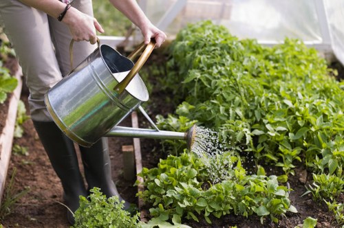 A gardener watering a vegetable bed in an outdoor garden, with lush green leafy plants growing in neat rows. The garden features a mix of soil and mulch pathways, and the plants appear healthy and well-maintained. The gardener, whose upper body and hands are visible, uses a metal watering can with a wooden handle, pouring water onto the plants. The background includes additional greenery and natural sunlight, suggesting a bright, clear day in an urban garden space near Shoreditch, London. This scene reflects sustainable gardening practices supported by Landscapers Shoreditch, emphasizing local outdoor maintenance and eco-friendly planting methods, with a focus on vibrant greens and natural textures.