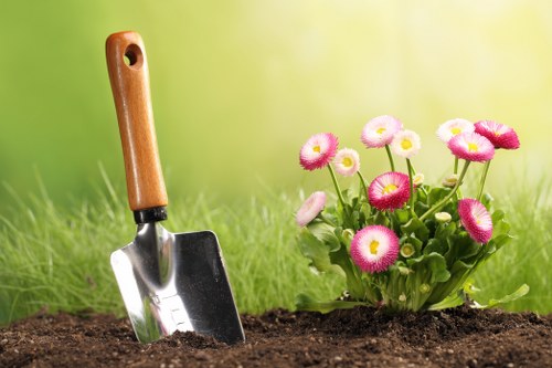 Eco-friendly disposal solutions during garden clearance